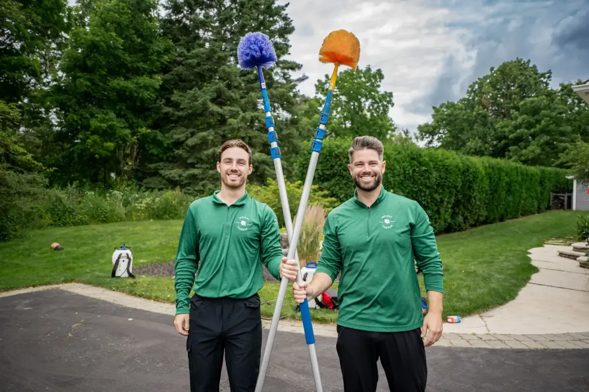 Insight Pest Solutions Australia customer service